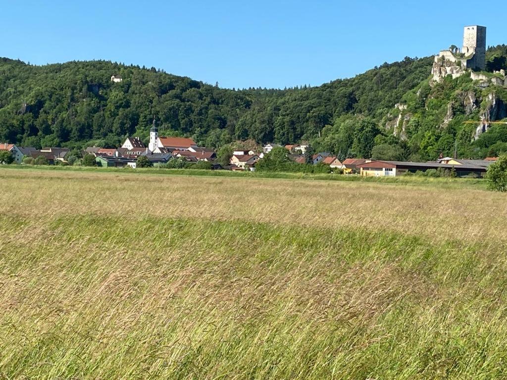 Ferienwohnung Im Wunderschoenen Altmuehltal Wellheim Exteriér fotografie